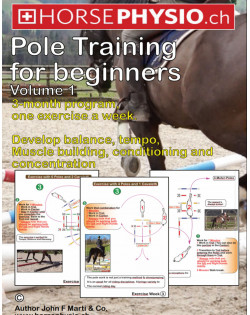 [EN] Pole Training Volume 1 for beginners
