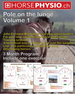 [EN] Pole Training Volume 1