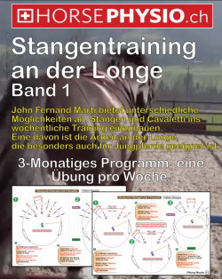[DE] Stangentraining Band 1